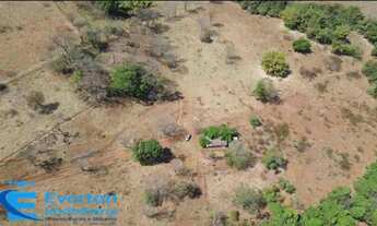 Imagem 7: Sitio 6 alqueires(29.04 hectares) em Uberlândia - Distrito de Martinésia