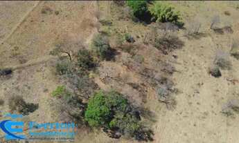 Imagem 2: Sitio 6 alqueires(29.04 hectares) em Uberlândia - Distrito de Martinésia