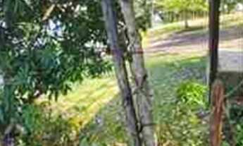 Imagem 4: Oportunidade Rancho 20.000 m2 - Miranda! Valor R$2.950.000,00