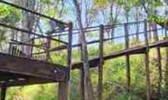 Imagem 5: Oportunidade Rancho 20.000 m2 - Miranda! Valor R$2.950.000,00