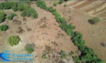 Imagem: Sitio 6 alqueires(29.04 hectares) em Uberlândia
