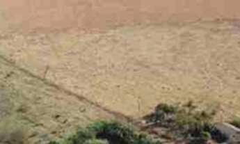 Imagem: Oportunidade Única Espaço Espetacular