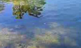 Imagem 6: Oportunidade Rancho 20.000 m2 - Miranda! Valor R$2.950.000,00