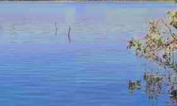 Imagem 7: Oportunidade Rancho 20.000 m2 - Miranda! Valor R$2.950.000,00