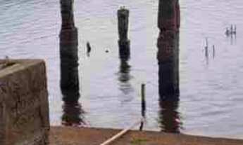 Imagem: Oportunidade Rancho 2.000 m2 - valor R$560.000,00