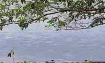 Imagem: Oportunidade Rancho 2.000 m2 - valor R$380.000,00