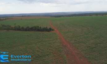 Imagem 2: Fazenda no município de Itapagipe - MG
