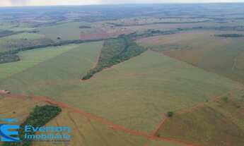Imagem 3: Fazenda no município de Itapagipe - MG