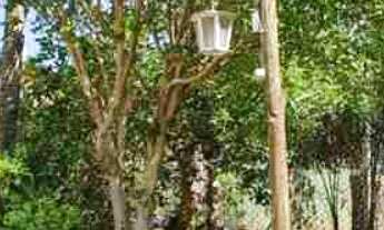 Imagem: Oportunidade Chácara 1.962m2 - valor R$600.000,00