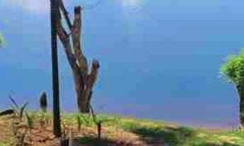 Imagem: Rancho Baía de Miranda - 3.015m2 - Moradia