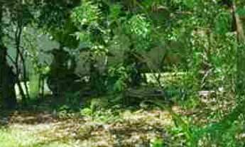 Imagem: Rancho 3.094m2 - Condmínio Báia de Miranda