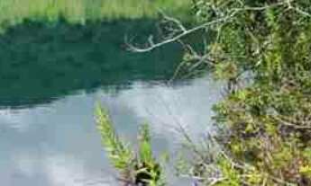 Imagem 7: Rancho - Área 48.400m2 - Ótima oportunidade - Moradia, lazer, pescaria e pequenas atividad