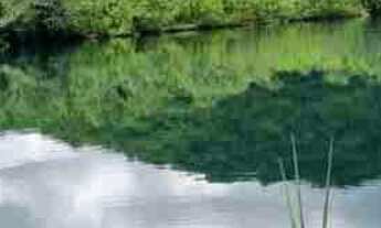 Imagem 2: Rancho - Área 48.400m2 - Ótima oportunidade - Moradia, lazer, pescaria e pequenas atividad