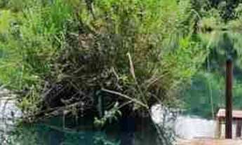 Imagem: Rancho - Área 48.400m2 - Ótima oportunidade