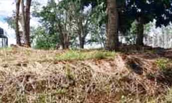 Imagem 3: Oportunidade Chácara medindo 2.000m2 - Condomínio Península de Miranda