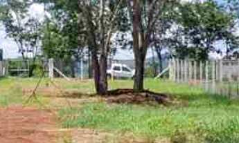 Imagem 4: Oportunidade Chácara medindo 2.000m2 - Condomínio Península de Miranda