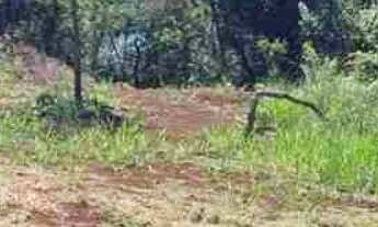 Imagem 3: Oportunidade Chácara 5.136 m2 - Condomínio Lago Verde - Miranda - valor R$650.000,00