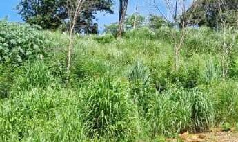 Imagem: Oportunidade Chácara 3.968,11m2 - Condomínio