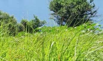 Imagem 2: Oportunidade Chácara 3.968,11m2 - Condomínio Lago Verde - Miranda - valor R$650.000,00