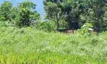 Imagem 2: Oportunidade Rancho 5.136 m2 - Condomínio Lago Verde - Miranda - valor R$650.000,00