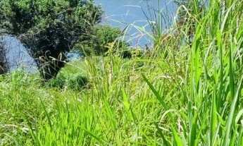 Imagem 4: Oportunidade Rancho 3.968,11m2 - Condomínio Lago Verde - Miranda - valor R$650.000,00