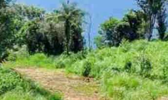 Imagem: Oportunidade Rancho 5.136 m2 - Condomínio