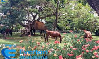 Imagem: Sitio no município de Prata-MG aproximadamente
