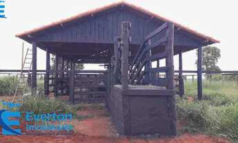 Imagem: Fazenda de 39,8 Alqueires em Campina Verde