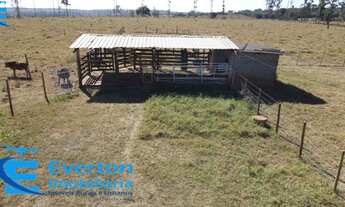 Imagem 5: Chácara com 7,50 hectares (1,54 alqueires) próximo a Uberlândia - MG