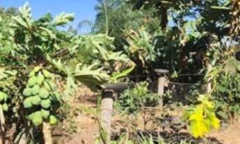 Imagem 7: Chácara com 7,50 hectares (1,54 alqueires) próximo a Uberlândia - MG