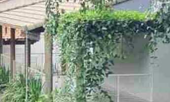 Imagem: Chácara com área de 5.570,025 m², OPROTUNUDADE