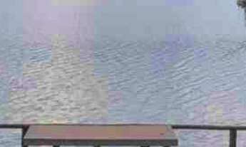 Imagem: Rancho com área de 5.570,025 m², OPROTUNUDADE