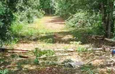 Imagem 6: Rancho 20.200m2 - Miranda. Moradia, lazer, piscicultura e outras atividades rurais