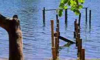 Imagem 4: Rancho no Miranda condomínio fechado, apenas 35km de Uberlândia, com piscina, hidromassage