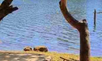 Imagem 1: Rancho no Miranda condomínio fechado, apenas 35km de Uberlândia, com piscina, hidromassage