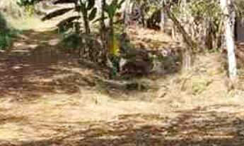 Imagem 5: Rancho no Miranda condomínio fechado, apenas 35km de Uberlândia, com piscina, hidromassage