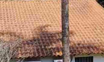 Imagem 3: Rancho no Miranda, moradia e lazer. OPORTUNIDADE rancho mobiliado com 3.083m2 apenas 45km