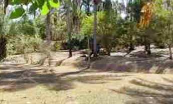 Imagem 6: Rancho 6.600 m2 - Represa Miranda - Moradia e Lazer