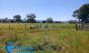 Imagem 7: Fazenda com 1.712 hectares - Barra do Garça - MT