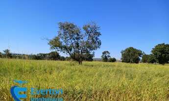 Imagem 2: Fazenda com 1.712 hectares - Barra do Garça - MT