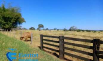 Imagem 4: Fazenda com 1.712 hectares - Barra do Garça - MT