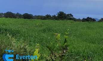 Imagem 3: Fazenda com 1.712 hectares - Barra do Garça - MT