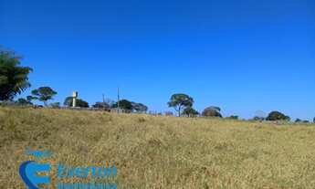 Imagem 5: Fazenda com 1.712 hectares - Barra do Garça - MT