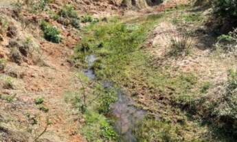 Imagem 6: Fazenda em Campina Verde MG