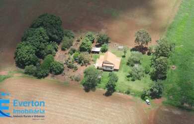 Imagem 5: Fazenda Uberlândia - MG com 48.61 Hectares - 10.04 alqueires