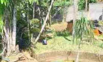 Imagem 7: Rancho - Baía de Miranda 7.150m2 - Empreendimentos, moradia e Lazer. Condomínio fechado, l