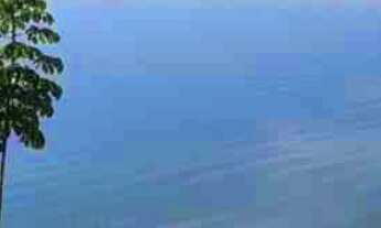 Imagem: Rancho - Baía de Miranda 7.150m2 - Empreendimentos