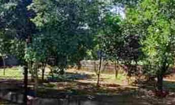 Imagem 7: Chácara 7.400m2 - Indianópolis - Moradia e lazer. Condomínio fechado, localizada a 68km de