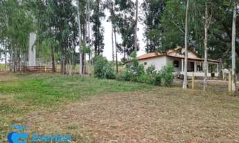 Imagem: Fazenda de 410 Alqueires em Caiapônia-GO