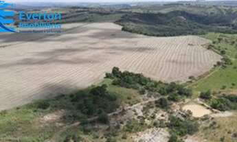 Imagem 3: Fazenda 39 alqueires em Lagamar com lavoura e pastagens